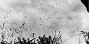 En 1942, les parachutistes de la Wehrmacht occupaient l'île de Crète. Beaucoup d'Allemands l'ignorent. Foto: Bundesarchiv, Bild 183-L22010 / Wikimedia Commons / CC-BY-SA 3.0