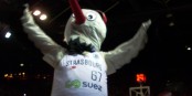 Da jubelt auch das Maskottchen der SIG - die Basketballer aus Strassburg haben das Viertelfinale im Eurocup erreicht! Foto: Michael Magercord