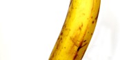 Banane cueillie sur le mât de Cocaïne Foto: Rennett Stowe / Wikimédia Commons / CC-BY- SA 2.0Gen