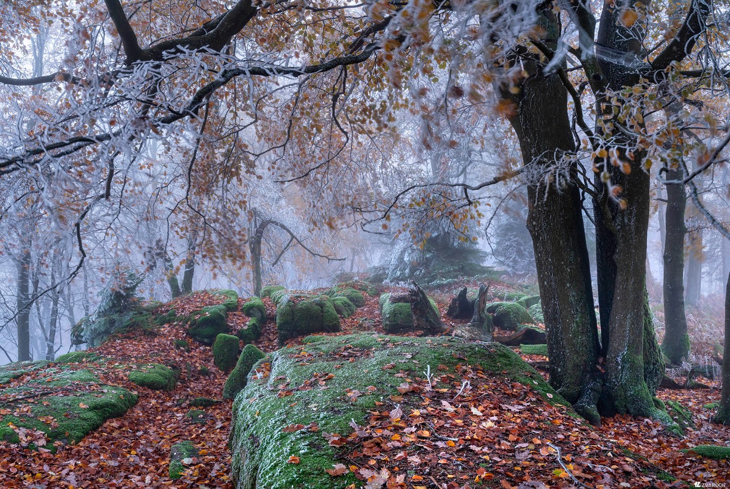 © František Zvardon